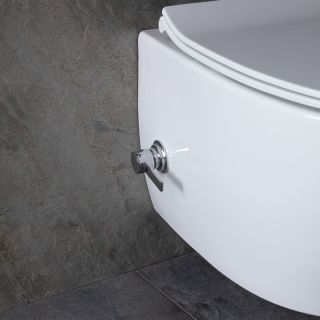 Подвесной унитаз Allen Brau Fantasy 4.11HC1.20 безободковый белый